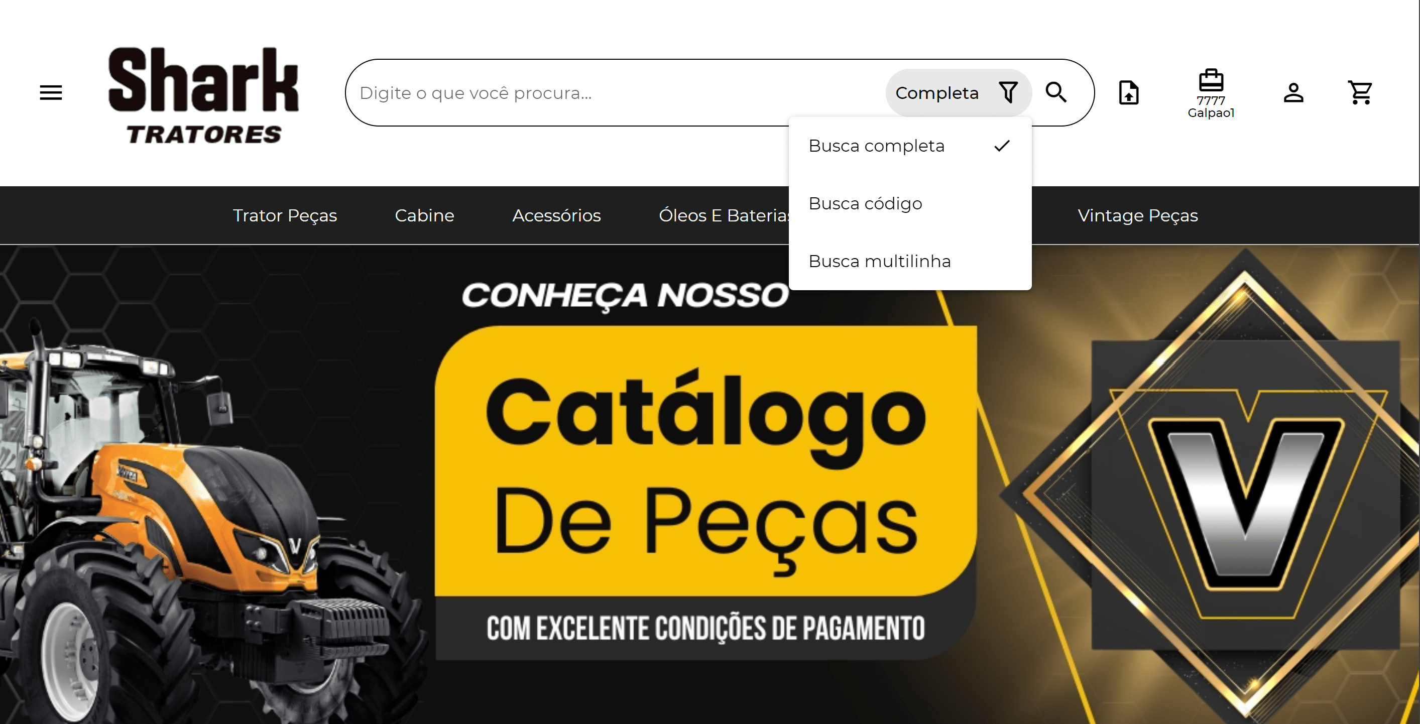 Busca completa, codigo, multilinha e voz